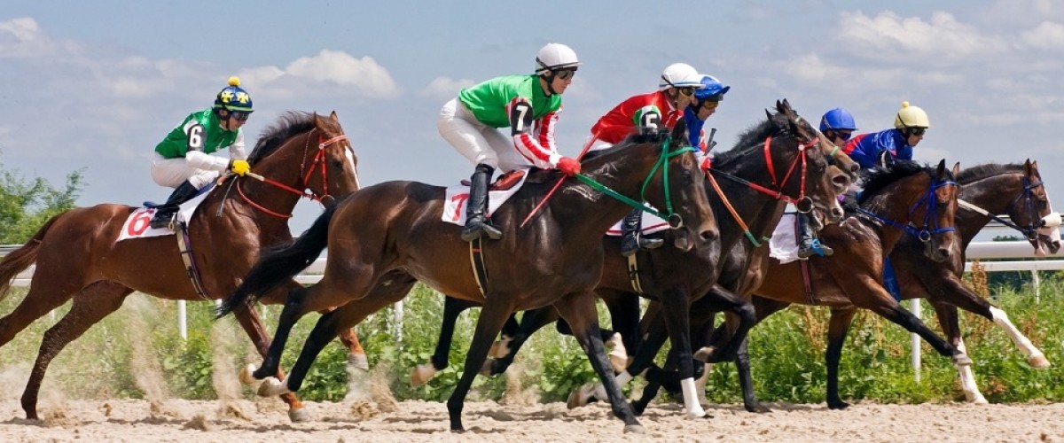 Un grand gagnant du PMU investit dans des chevaux de course