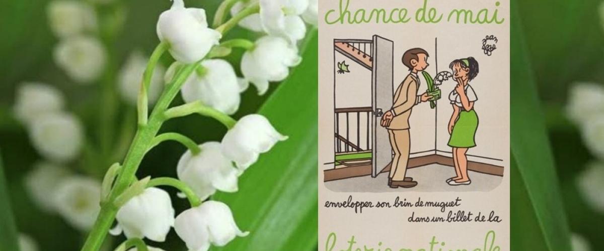 Muguet porte-bonheur : la chance « fleurit » pour gagner au Loto